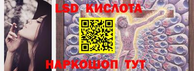 прущие грибы Нягань
