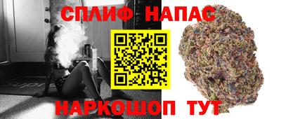 прущие грибы Нягань