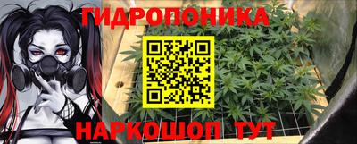 амф Обнинск