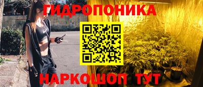 амф Обнинск