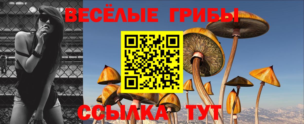 Галлюциногенные грибы ЛСД Соль-Илецк