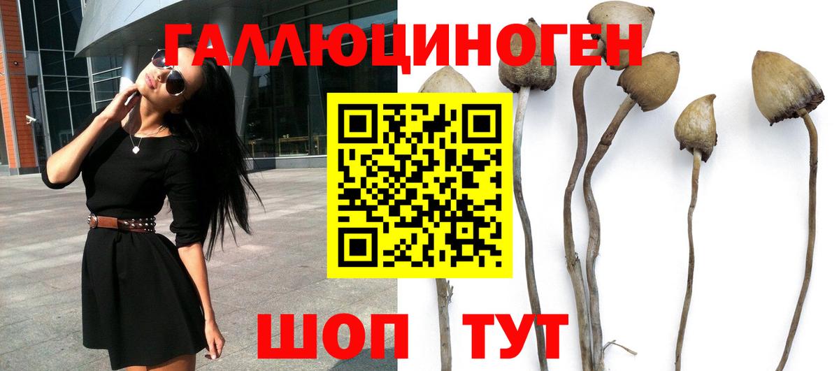 Соль-Илецк  Псилоцибиновые грибы Magic Shrooms  Вход с VPN 